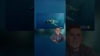 Sea Monster EATS Great White Shark 😟🦈🦑