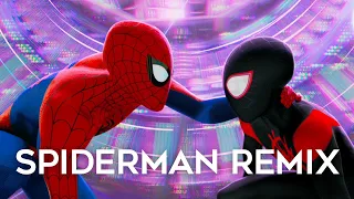 You Can Teach Me! (Spiderman into the Spiderverse Remix)
