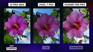 Camera Battle: iPhone 15 Pro Max vs Pixel 7 Pro vs Huawei P60 Pro