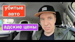 Яндекс Драйв - безумные тарифы за убитые машины, Белка за копейки: каршеринг, который мы заслужили