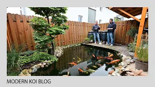 Modern Koi Blog #4964 - Marcels nicht ganz einwandfreie Wasseranalyse