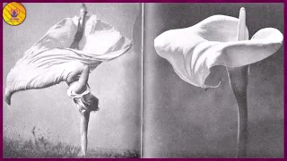 OUR LILY - ARUM LILY | RARE PHOTOS FROM HISTORY THAT WILL LEAVE YOU SPELLBOUND! | UNSEEN PICTURES