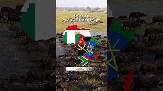 Strongest country in each African region 🌍 #military #africa #wakawaka #shakira #maps #viral