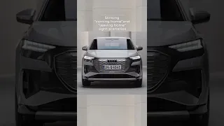 The Audi Q4 e-tron* daytime running lights.