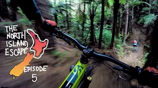 THIS is why I flew halfway around the world to mountain bike | North Island Escape Ep. 5