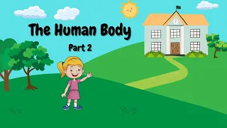 Human Body: Part 2 | Parts of the Body | English | ELL | Children | Pre-K | Kindergarten | First