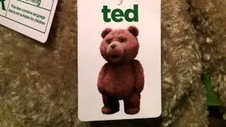 TED 24 INCH TALKING PLUSH BEAR