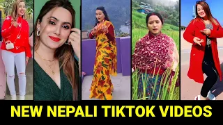 Nepal comedy collection | @PRATAPSUNAR  | Halka Ramailo | Viral TikTok | New Nepali video