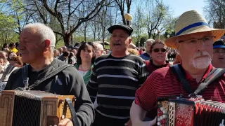 Rusga/Desfile/Bois da Páscoa  - Arcos de Valdevez - 02-04-2017