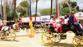 Jerez Horse Fair