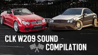 BEST OF Mercedes CLK W209 All Petrol Engines Exhaust Sound Compilation