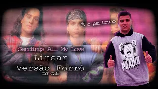 Linear - Sending All my love - Forró Remix - Sino Producer | DJ Gab