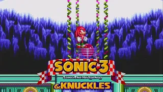 Sonic 3 & Knuckles - Hidden Palace Knuckles 0:08 Speedrun (World Record)