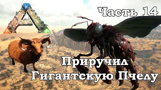 ARK Scorched Earth В одиночку #14 - Приручил Гигантскую Пчелу