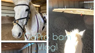 GoPro barn  vlog!!