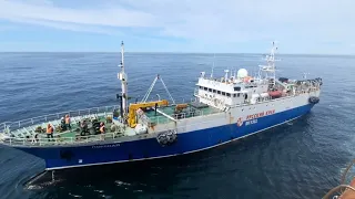 Работа в море. СРТМ Алчан Поронай Иркут Охотское море Июнь 2023