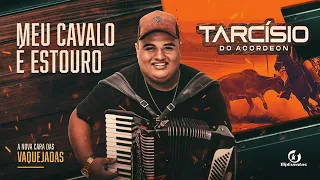 Tarcísio do acordeon música meu cavalo estouro