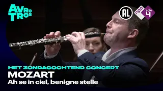 Mozart: Ah se in ciel, benigne stelle, K.538 - Alexei Ogrintchouk & Sinfonietta Rīga - Live HD