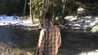 Into the Wild in Under 60 Seconds