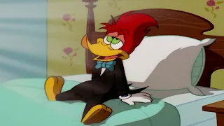 Woody Woodpecker | Woody and Wally become friends + More Full Episodes