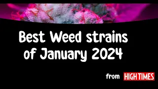 High Times  5 Best  Weed Strains  of January 2024