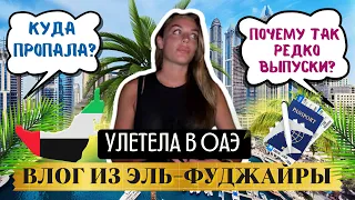 Улетела в ОАЭ. Пока без треш -салонов. Miramar Al Aqah Beach Resort 5*. Фуджейра.