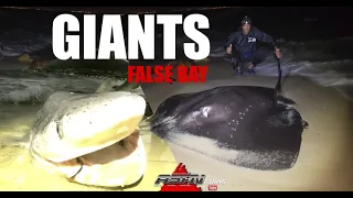 Giants of False Bay Cape Town | ASFN Rock & Surf