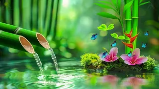 Beautiful Piano Music 🌿 Bamboo, Relaxing Music, Nature Sounds, Relieves Stress Music, Calming music