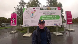 ЗОЛОТАЯ ОСЕНЬ 2019 ВДНХ