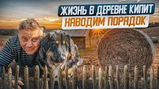 Жизнь в деревне: обзор участка, планы на будущее. "Мое Подворье"