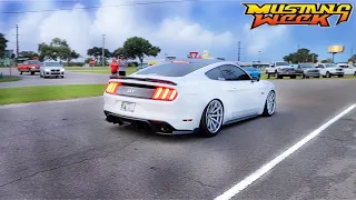 The LAST Footage of Mustang Week 2020!!