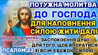 Псалом 22. Сильна молитва до Господа для заспокоєння душі. Молитва для ПОДЯКИ  Господу за ВСЕ.