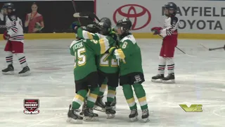 Game Winning Goals - Day 4 -  2019 - Brick Invitational Hockey Tournament