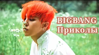 Сценка GD и T.O.P |Жена на отдыхе потеряла память| Приколы BIGBANG