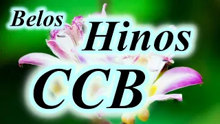 CCB. Hinos Hinário 4 332, 384, 446, 372, 103, 154, 92, 128, 222, 52, 189,138.