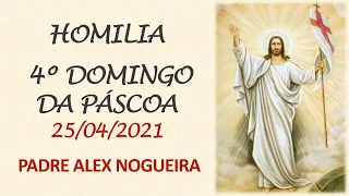 Homilia 4º Domingo da Páscoa (25/04/2021)