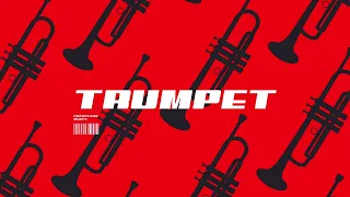 [FREE] Tech House Type Beat - "TRUMPET" | Latin Dance Club Banger 2023 (Prod. PapaPedro Beats)