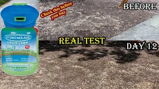 Hydro Mousse Liquid Lawn System - Grow Grass Where You Spray It | Real Test | #diy #lawncare