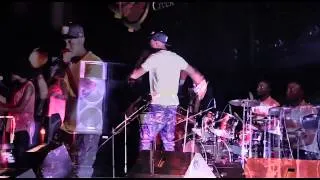 Vector - Live Band Performance