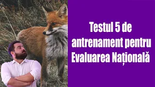 Testul 5 de antrenament pentru Evaluarea Națională