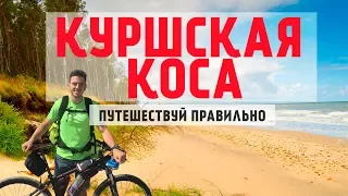 Куршская коса | Морской музей | Все от Клайпеды до Прейлы, еда, жилье, музеи, магазины |