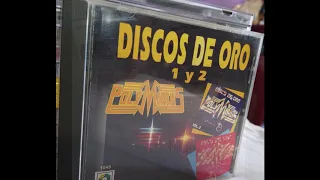 POLYMARCHS Disco de Oro Vol.1 [B] (audio HQ HD)