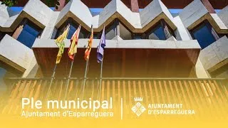 Sessió 01/2021 Ordinària de Ple Municipal del 20 de gener de 2020