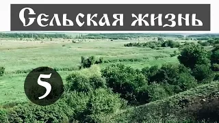 Сельская жизнь. Заповедные места. 5