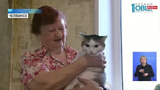 Кот спас хозяйку из пожара