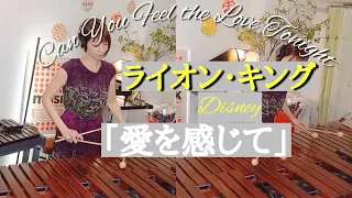 【Disney】「ライオン・キング」より「愛を感じて」〜marimba cover.〜【LionKing】