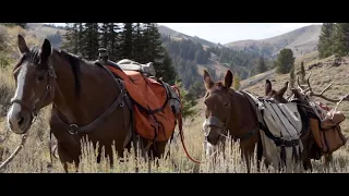 The Western Hunter Season 8 - Trailer