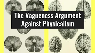 The Vagueness Argument Against Physicalism