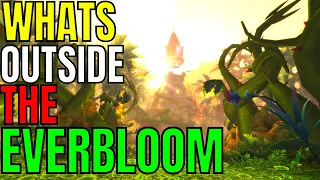 World Of Warcraft: Whats Outside The Everbloom?