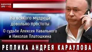 Андрей Караулов. О судьбе Алексея Навального и Николая Платошкина. Платошкин должен быть освобожден!